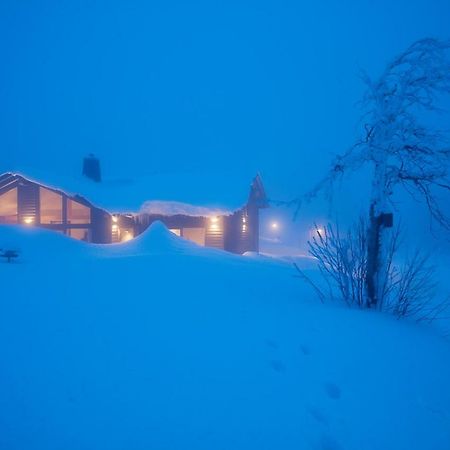 Вилла Beerenhaus Альтенберг Экстерьер фото