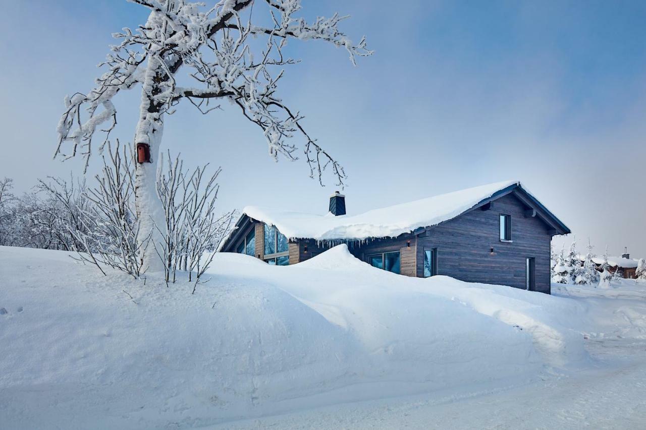 Вилла Beerenhaus Альтенберг Экстерьер фото