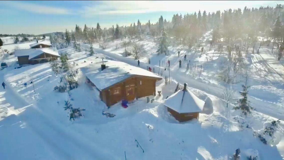 Вилла Beerenhaus Альтенберг Экстерьер фото