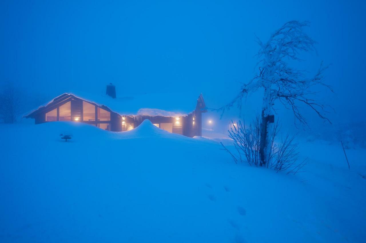 Вилла Beerenhaus Альтенберг Экстерьер фото